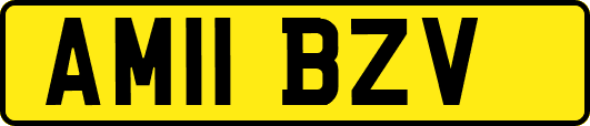 AM11BZV
