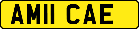 AM11CAE