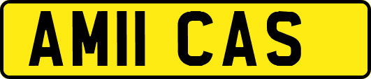 AM11CAS