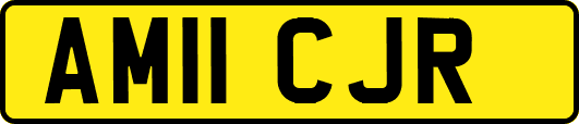 AM11CJR