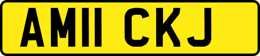AM11CKJ