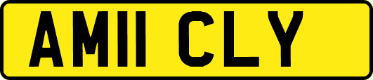AM11CLY
