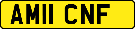 AM11CNF