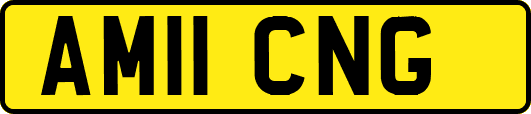 AM11CNG