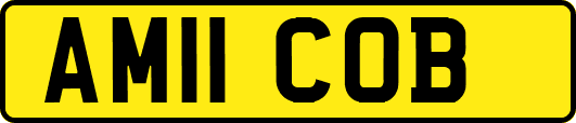 AM11COB