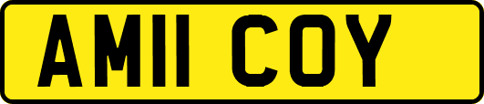AM11COY