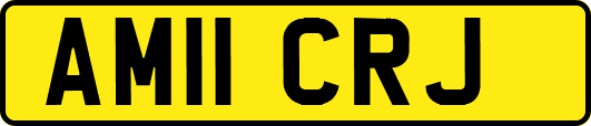 AM11CRJ