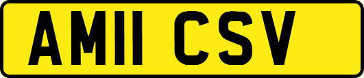 AM11CSV
