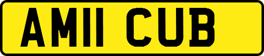 AM11CUB
