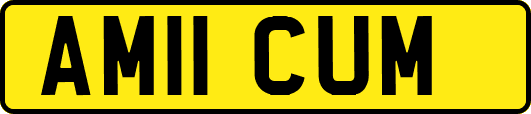 AM11CUM