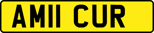 AM11CUR