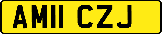 AM11CZJ