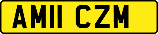AM11CZM