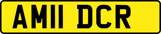 AM11DCR