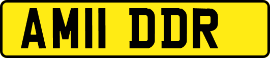 AM11DDR