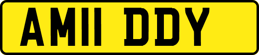 AM11DDY
