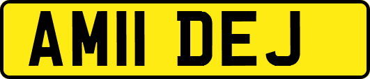 AM11DEJ