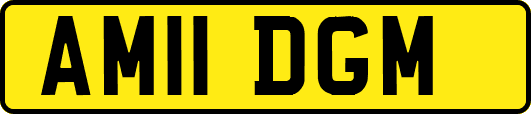 AM11DGM