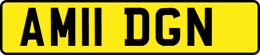 AM11DGN