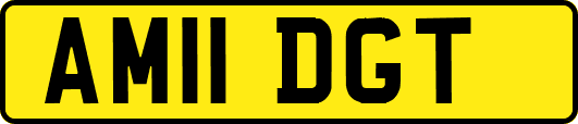 AM11DGT
