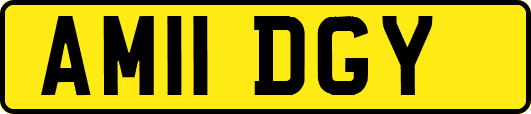 AM11DGY