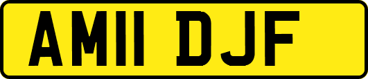 AM11DJF
