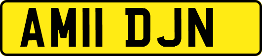 AM11DJN