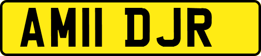 AM11DJR