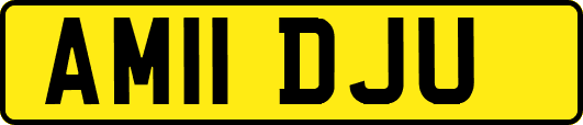 AM11DJU