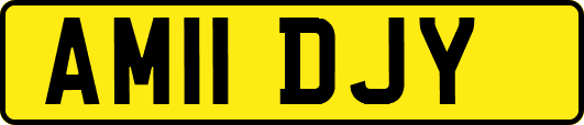 AM11DJY
