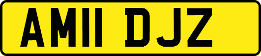AM11DJZ