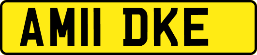 AM11DKE