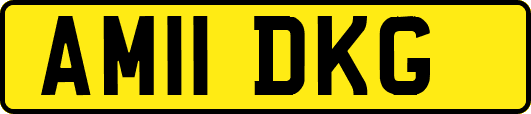 AM11DKG