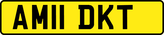 AM11DKT