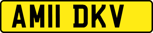 AM11DKV