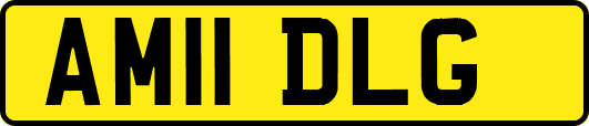 AM11DLG