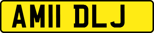 AM11DLJ
