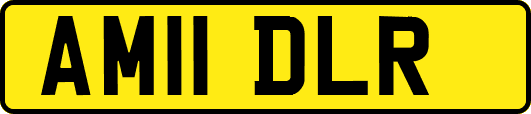 AM11DLR