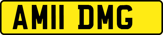 AM11DMG