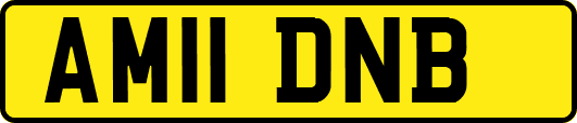 AM11DNB