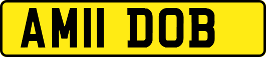 AM11DOB