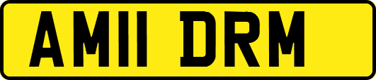 AM11DRM