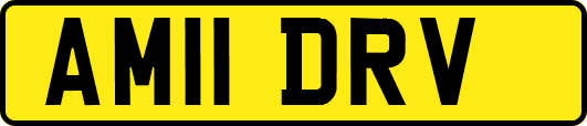 AM11DRV
