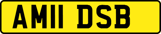 AM11DSB