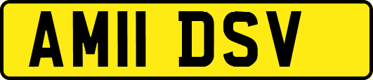 AM11DSV