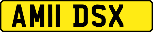 AM11DSX