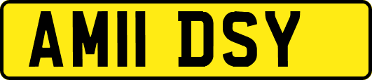 AM11DSY