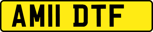 AM11DTF