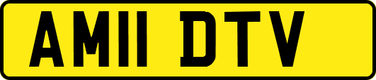 AM11DTV