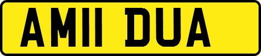 AM11DUA